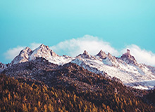 开云体育平台：开启您的极致运动体验之旅